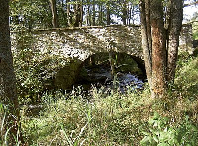 Schwanenmostek